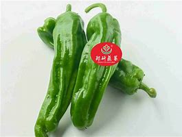 945新开传奇下载