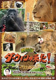 1.76版新开传奇下载