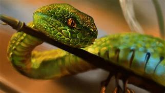 python传奇自动打怪脚本