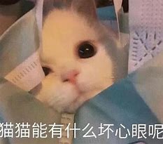 网上那么多传奇私服
