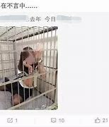 玩了那么多年 你最大的启示是什么