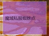 传世奇迹公益服