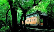 新开无英雄传奇私服