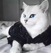 传奇怎么给私服加切割与切割