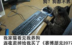 玩了这么多年的传奇私服 你懂它嘛