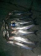 装备哪里打 装备在哪里打呀【地下城堡2吧】