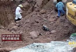 03年沉默骨灰版道士召唤麒麟铜域戒指麻痹属性一切回到从前