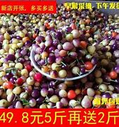 传奇私服赤月辅助官网与赤月