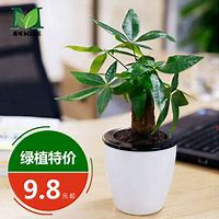 新开韩版天裂传奇私服