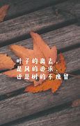 关于福建移动用户用27加速器玩传奇游戏顿卡的解决办法
