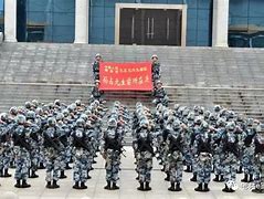 永不后退的老虎 它是虎中之王