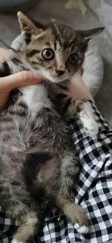 有什么可以挣钱的传奇游戏吗？