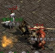 道士这个职业pk强不强 道士鸡肋不考虑 法师和战士【复古传奇品牌吧