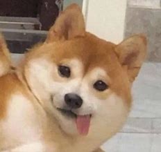 影子系统玩不了传奇私服与传奇私服