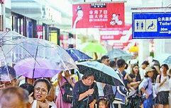 狐月玉兔公益服下载