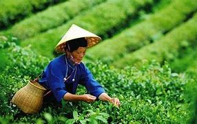 为什么传奇打开都是一个网站