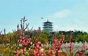 为何激活成功了账号还是不存在呢  爱问知识
